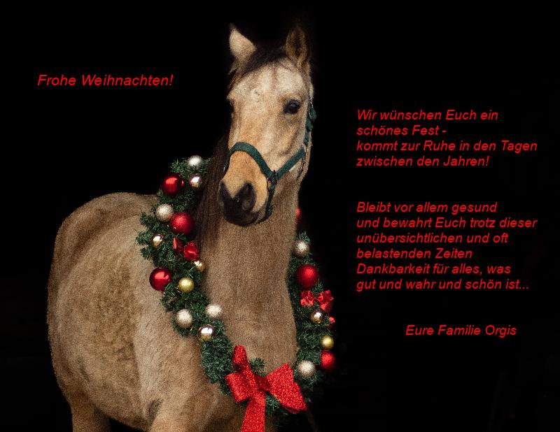 Das Bild zu Weihnachtsgruß Kingsley