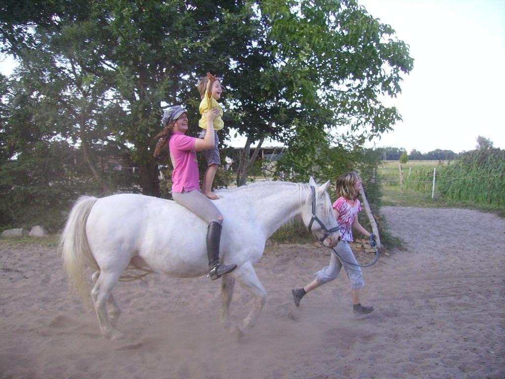 Das Bild zu Freude am Reiten 