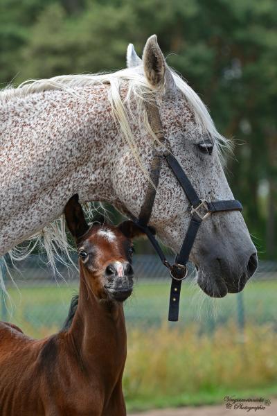 Freude an der Mama, Bild Nr. 1