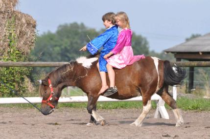 Freunde beim Reiten, Bild Nr. 1