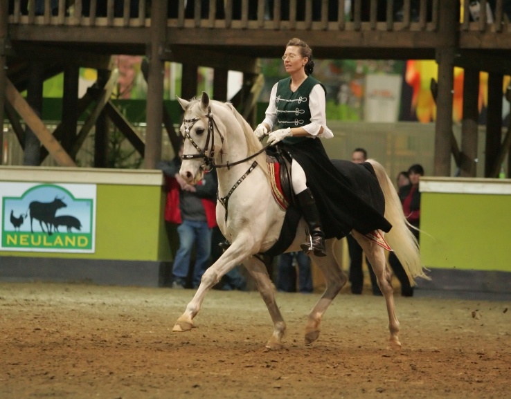 in sich ruhen beim Reiten, Bild Nr. 1