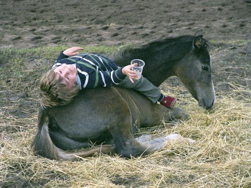 Das Bild zu kein Kommentar!