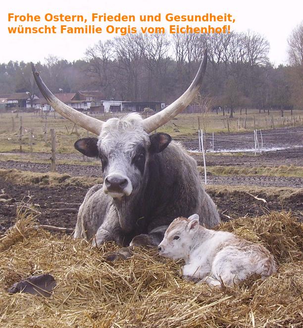 Das Bild zu Ostergruß von Vater und Sohn