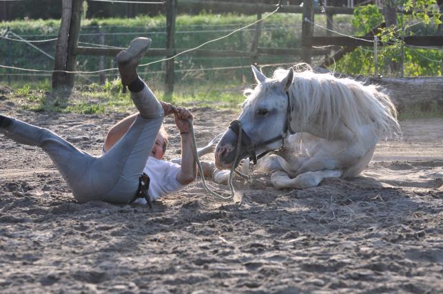 Das Bild zu geteilte Freude...