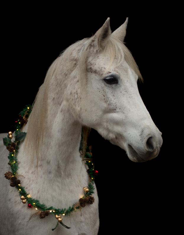 Das Bild zu Walida als Weihnachtsengel