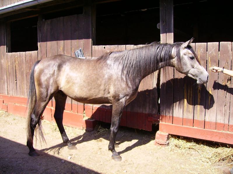 Freki, Bild Nr. 3