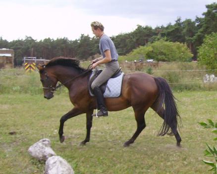 Orestis, Bild Nr. 2