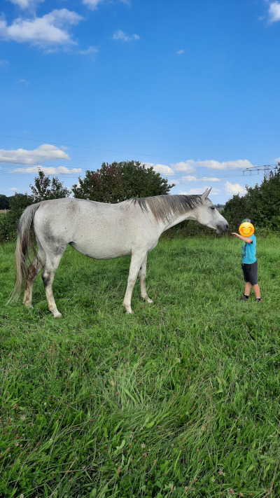 Sigyn, Bild Nr. 2