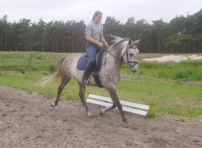 Zenon, Bild Nr. 2