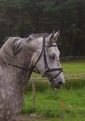 Zenon, Bild Nr. 3