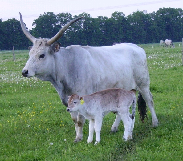 Zuwachs auf dem Eichenhof, Bild Nr. 3