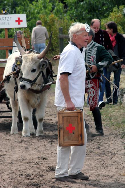 Vom Steppenrind - Kalb zum Zugrind, Bild Nr. 15