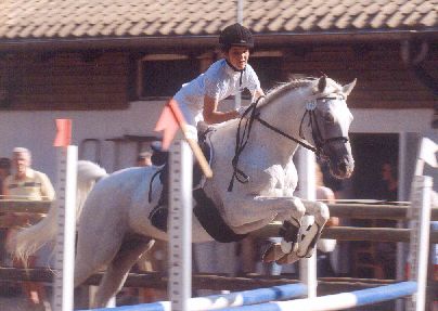 Bild von Vivien Orgis