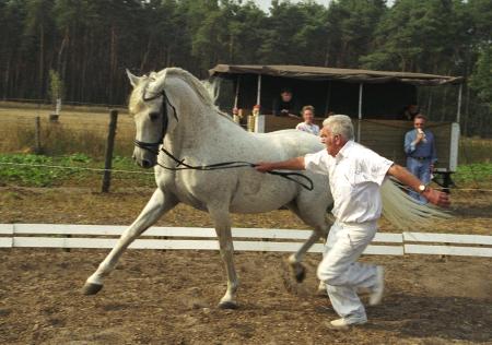 Opi, Bild Nr. 1