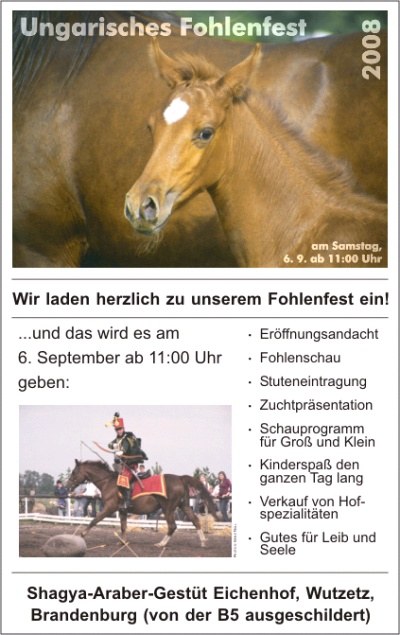 Ungarisches Fohlenfest, Bild Nr. 1