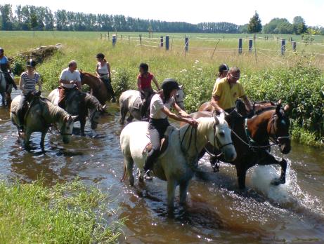 Himmelfahrt und Pfingsten, Bild Nr. 2