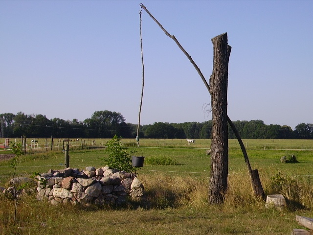 Wanderreiten und Sicherheitstraining, Bild Nr. 4