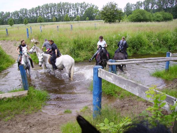 Zu Gast bei Fam. Roffeis in Goldbeck, Bild Nr. 5