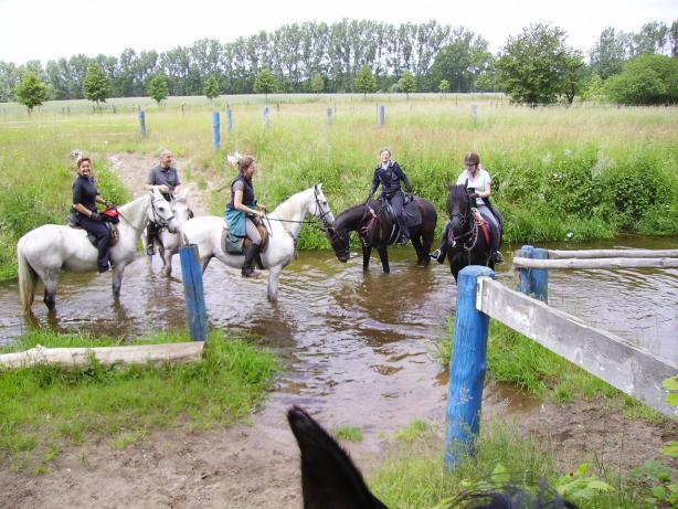 Zu Gast bei Fam. Roffeis in Goldbeck, Bild Nr. 6