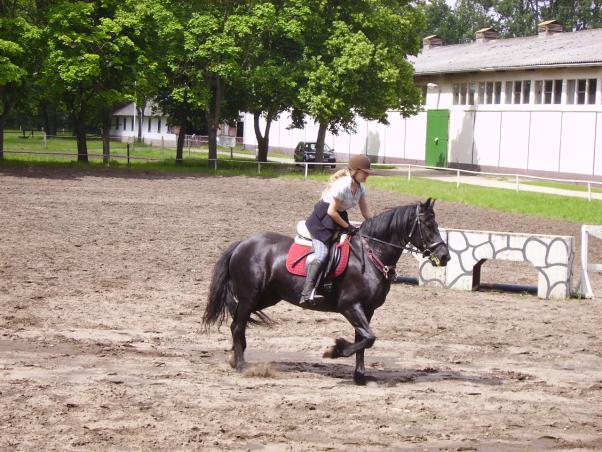 Zu Gast bei Fam. Roffeis in Goldbeck, Bild Nr. 7