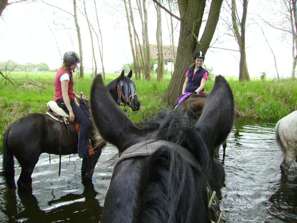 Zur Himmelfahrt ins Zootzner Land, Bild Nr. 1