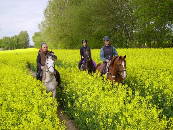 Zur Himmelfahrt ins Zootzner Land, Bild Nr. 4