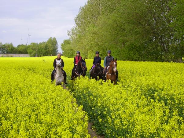 Zur Himmelfahrt ins Zootzner Land, Bild Nr. 5