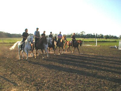 Husarentraining in Wutzetz, Bild Nr. 1