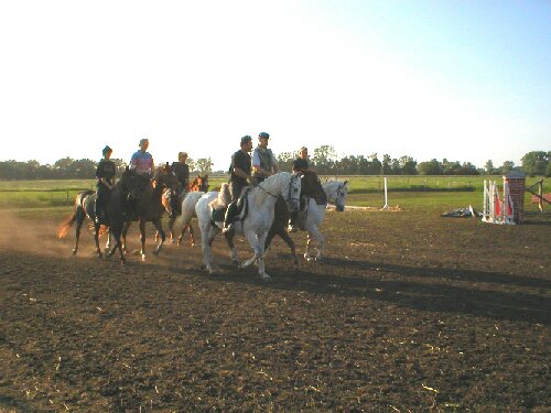 Husarentraining in Wutzetz, Bild Nr. 2