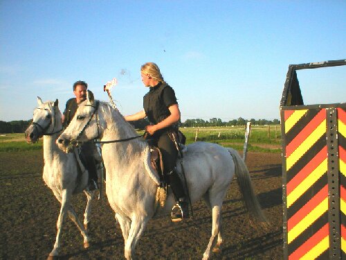 Husarentraining in Wutzetz, Bild Nr. 3