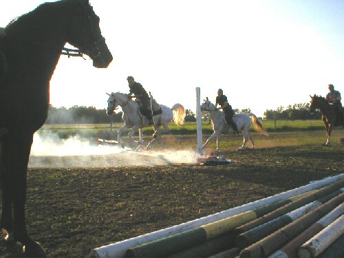 Husarentraining in Wutzetz, Bild Nr. 5