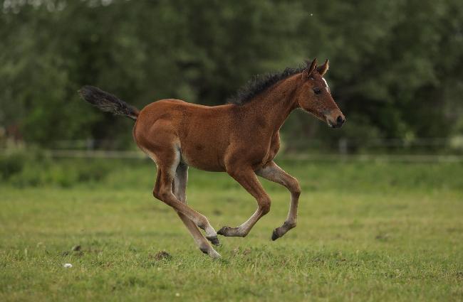 Daliah, Bild Nr. 3