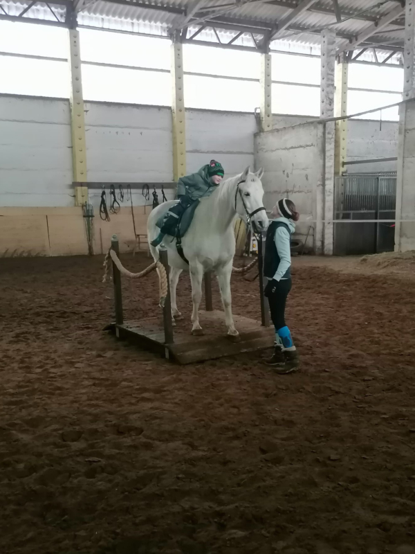 Trail Parcours, Bild Nr. 2