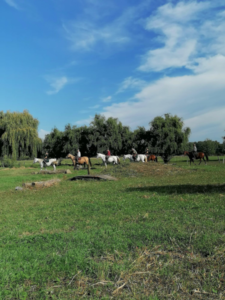 Wasserspiele, Bild Nr. 1
