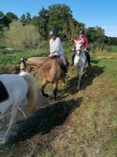 Wasserspiele, Bild Nr. 2