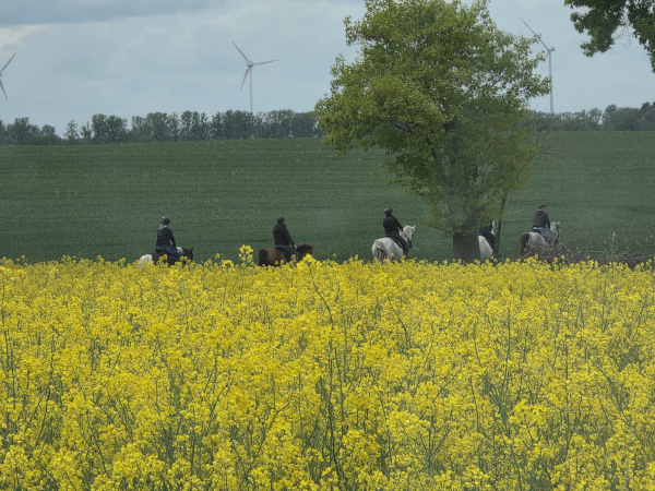 Sternritt Zootzen und Rohrlack, Bild Nr. 4