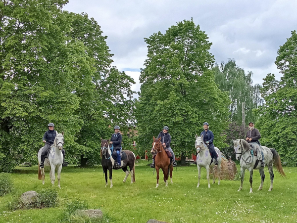Sternritt Zootzen und Rohrlack, Bild Nr. 5