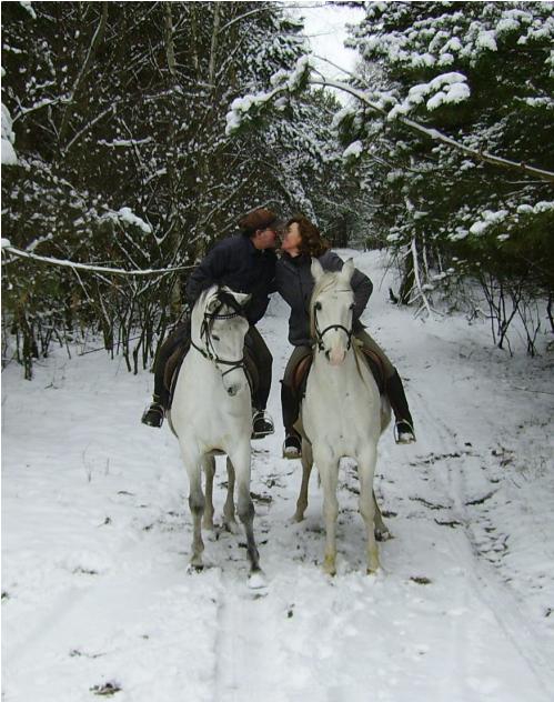 Herzlich willkommen im Wanderreitjahr 2010, Bild Nr. 1